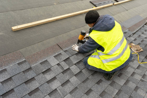 Best Roof Gutter Cleaning  in Wren, AR