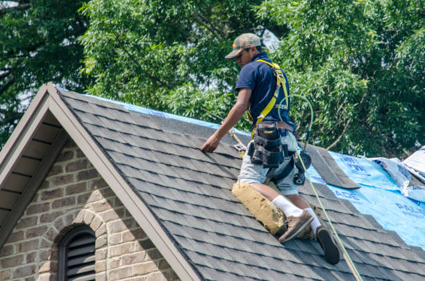 Best Shingle Roofing Installation  in Wren, AR